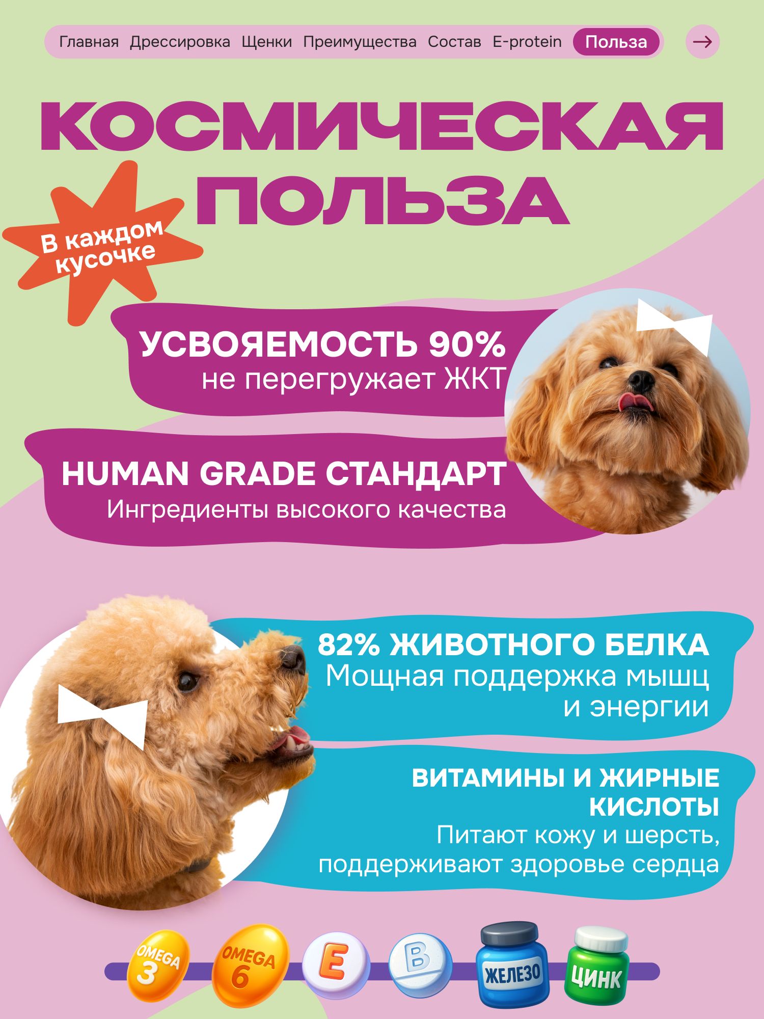 Лакомство для собак «Cosmodog» Филе утки 100г