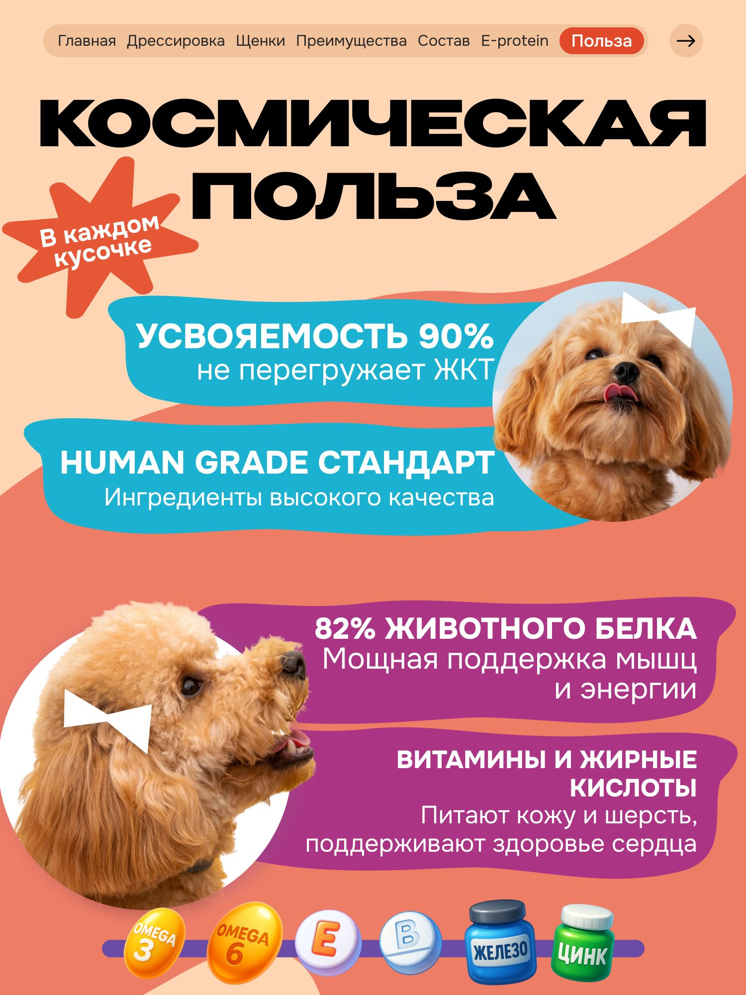 Лакомство для собак «Cosmodog» Филе утки 250г