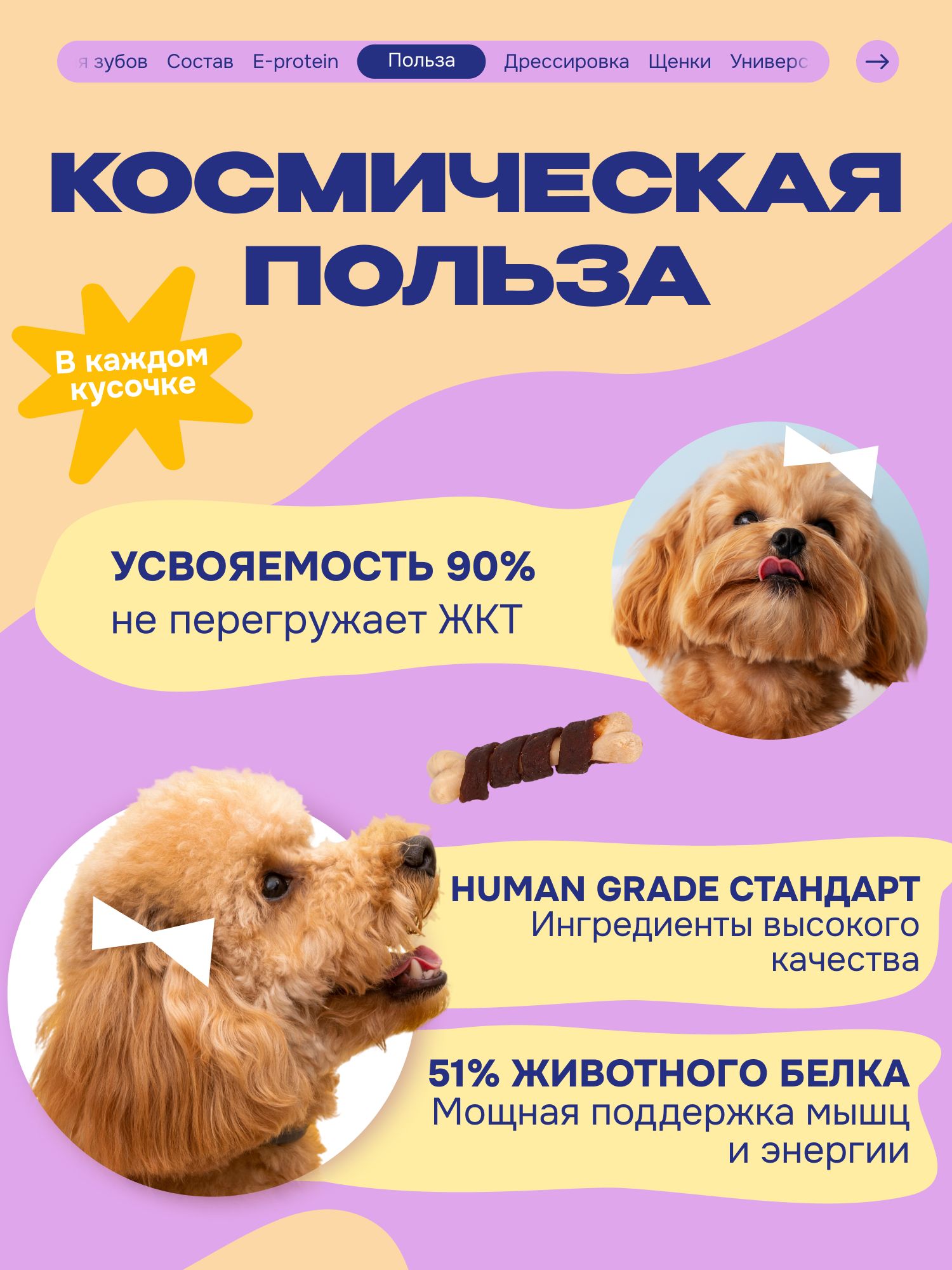 Лакомство для собак «Cosmodog» Говядина на косточке 100г