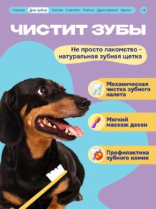 Лакомство для собак «Cosmodog» Говядина на косточке 250г