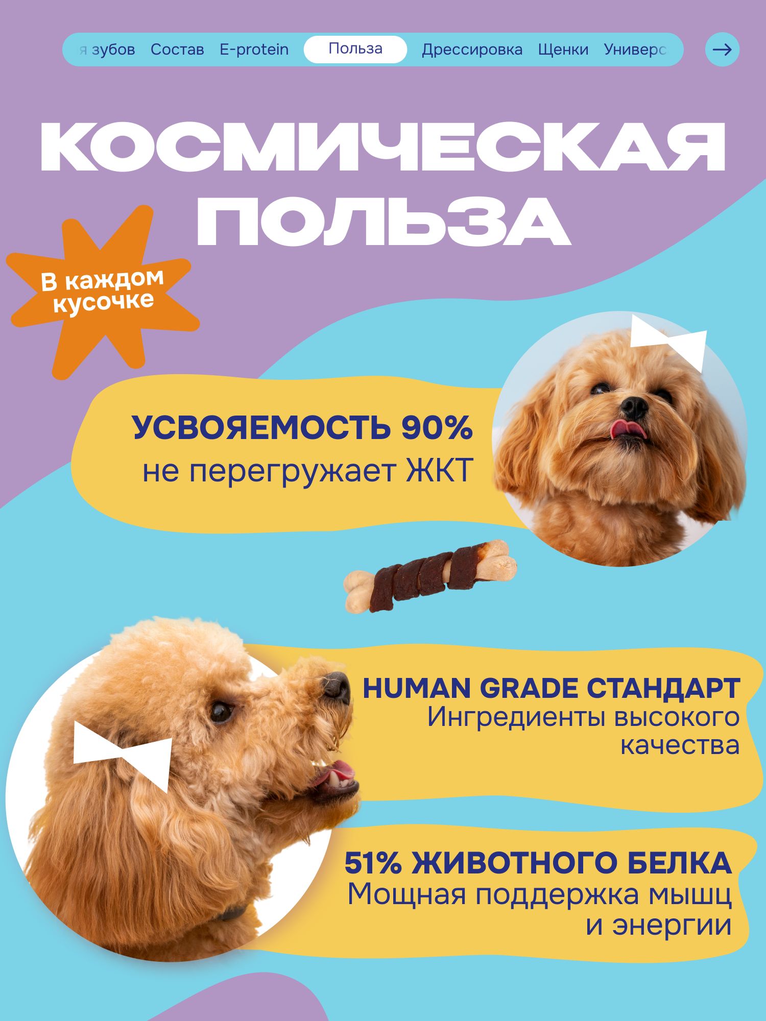 Лакомство для собак «Cosmodog» Говядина на косточке 250г