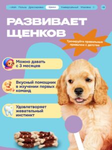 Лакомство для собак «Cosmodog» Говядина на косточке 250г