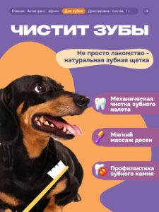 Лакомство для собак «Cosmodog» Ягненок на косточке 100г