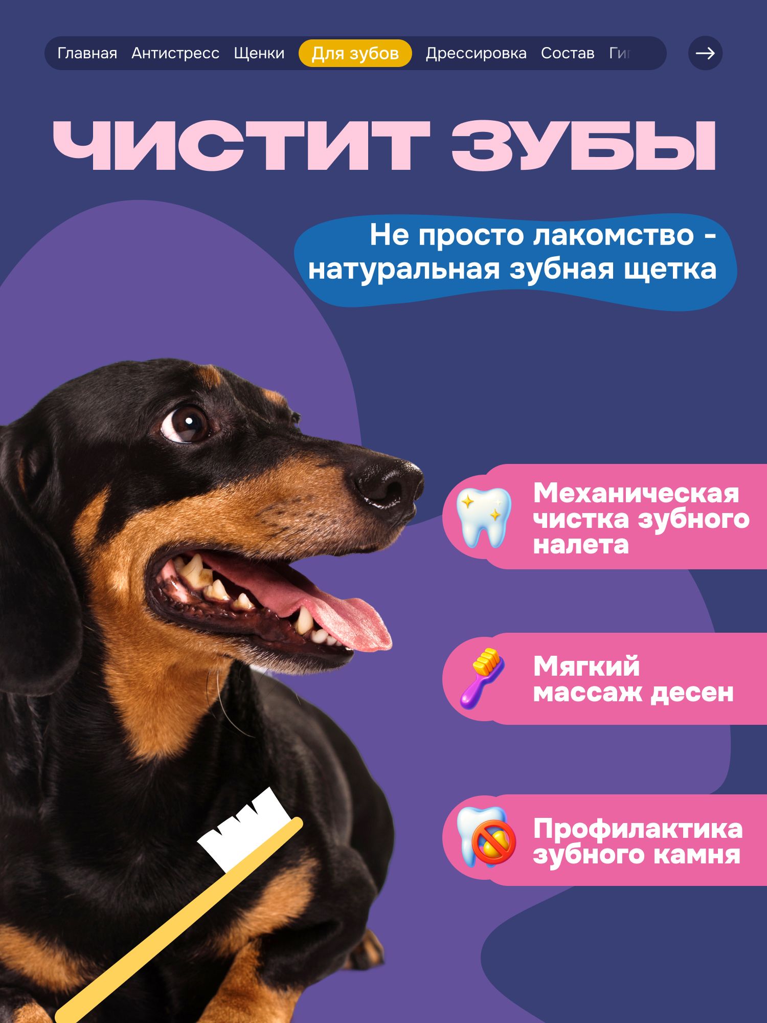 Лакомство для собак «Cosmodog» Ягненок на косточке 150г