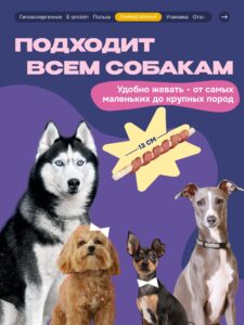 «В добрые руки»: Как Avito стал серой зоной между домом, приютом и улицей