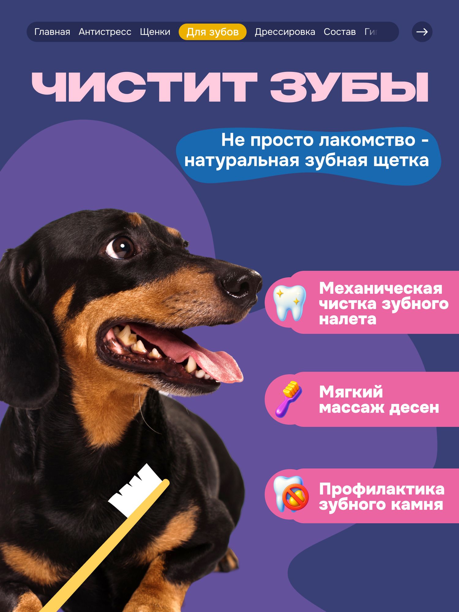 Лакомство для собак «Cosmodog» Ягненок на косточке 250г
