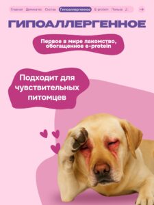 Лакомство для собак «Cosmodog» Сэндвич с лососем 100г