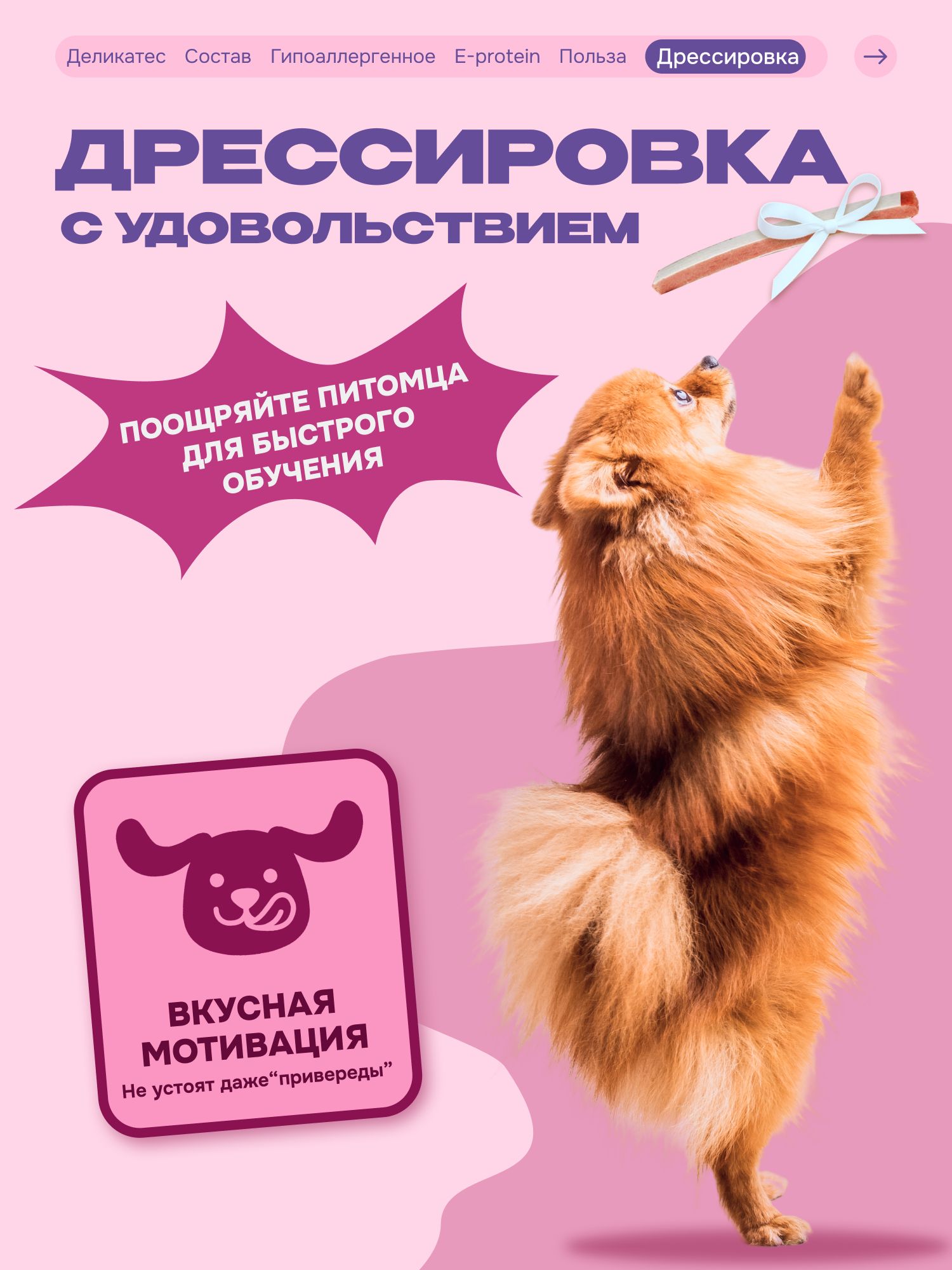 Лакомство для собак «Cosmodog» Сэндвич с лососем 100г