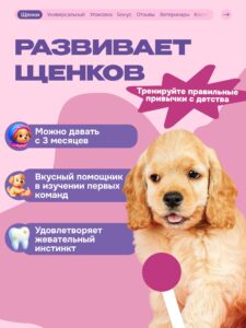 Лакомство для собак «Cosmodog» Сэндвич с лососем 100г