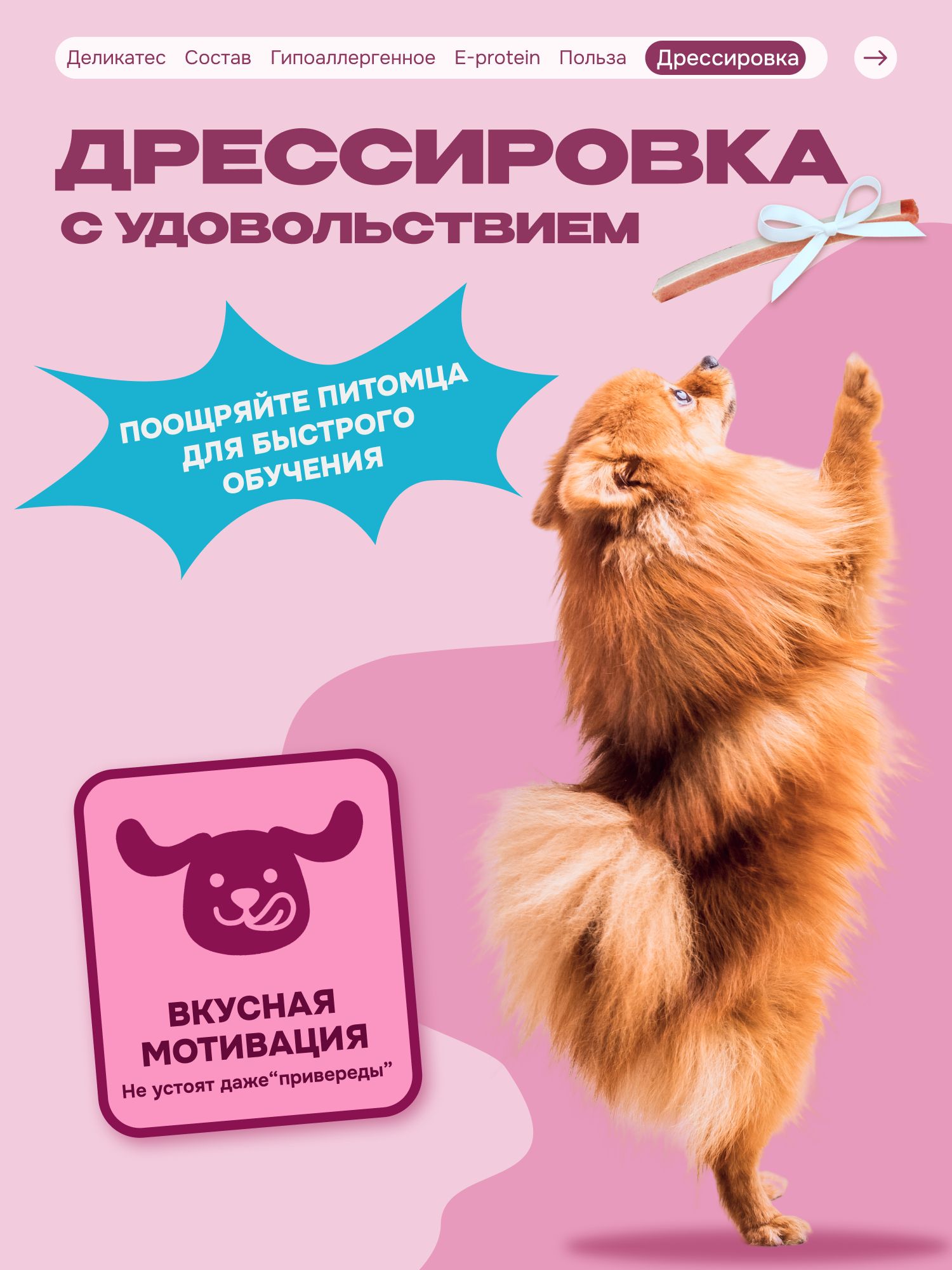 Лакомство для собак «Cosmodog» Сэндвич с лососем 150г