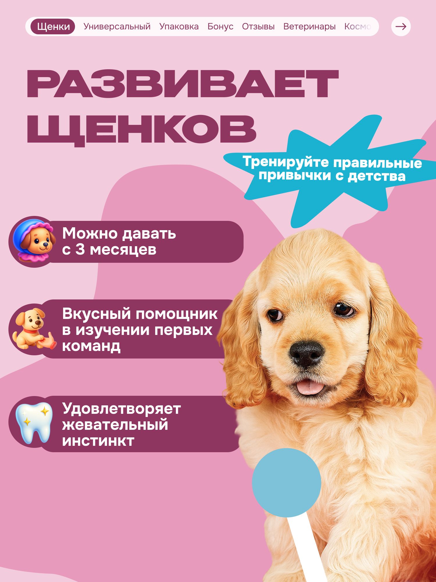 Лакомство для собак «Cosmodog» Сэндвич с лососем 150г