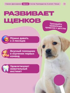 Лакомство для собак «Cosmodog» Стрипсы с лососем 100г