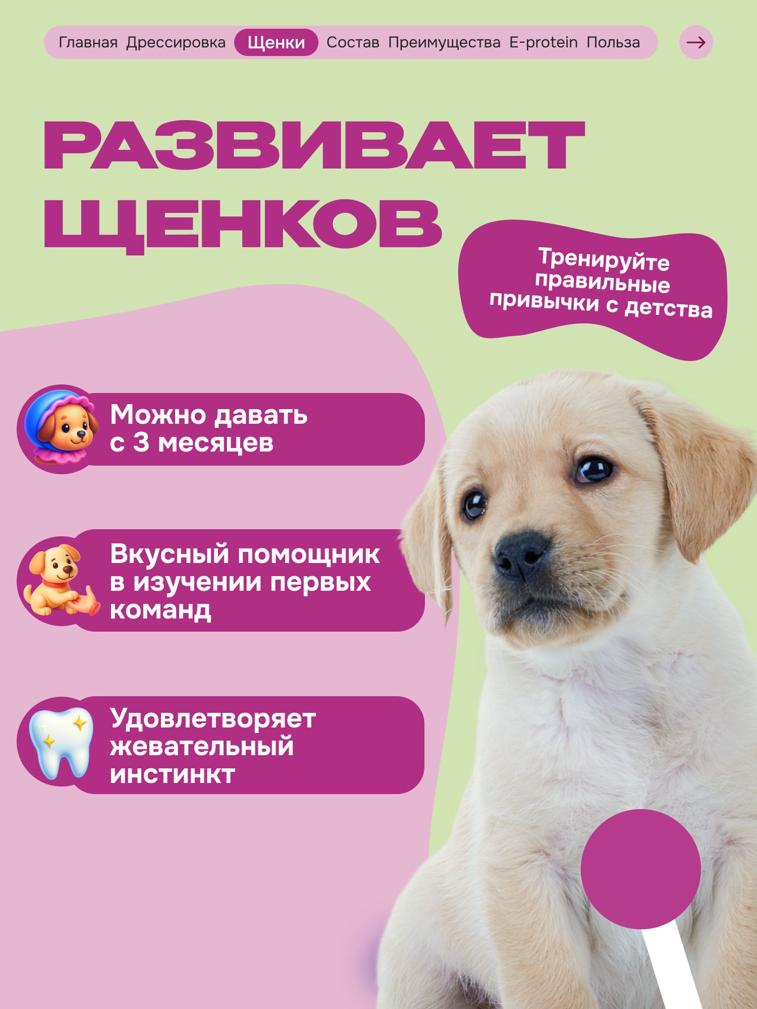Лакомство для собак «Cosmodog» Стрипсы с лососем 100г