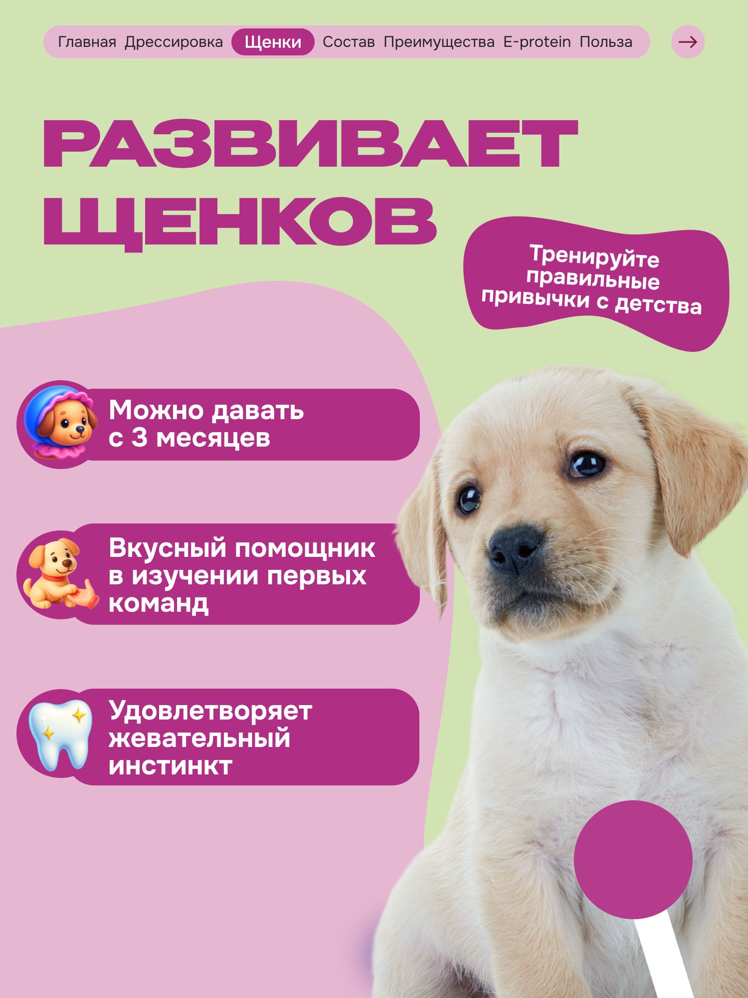 Лакомство для собак «Cosmodog» Стрипсы с лососем 150г