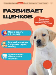 Лакомство для собак «Cosmodog» Стрипсы с лососем 250г