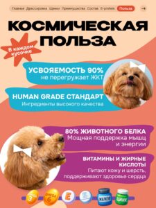 Лакомство для собак «Cosmodog» Стрипсы с лососем 250г