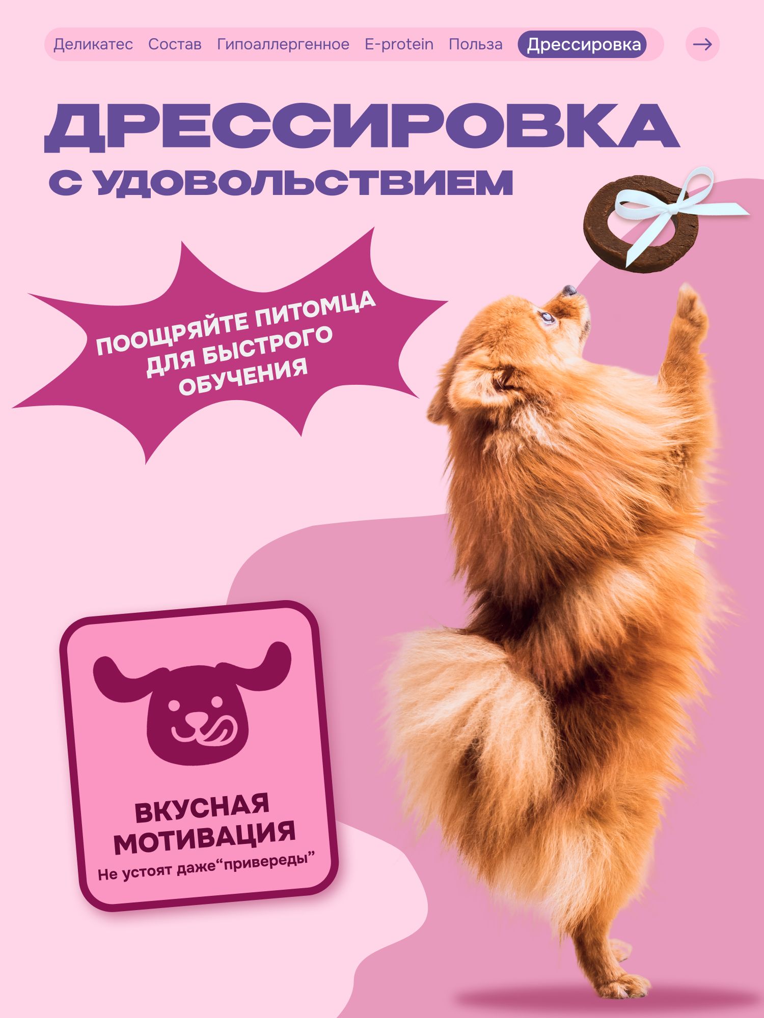 Лакомство для собак «Cosmodog» Пончик из утки 100г
