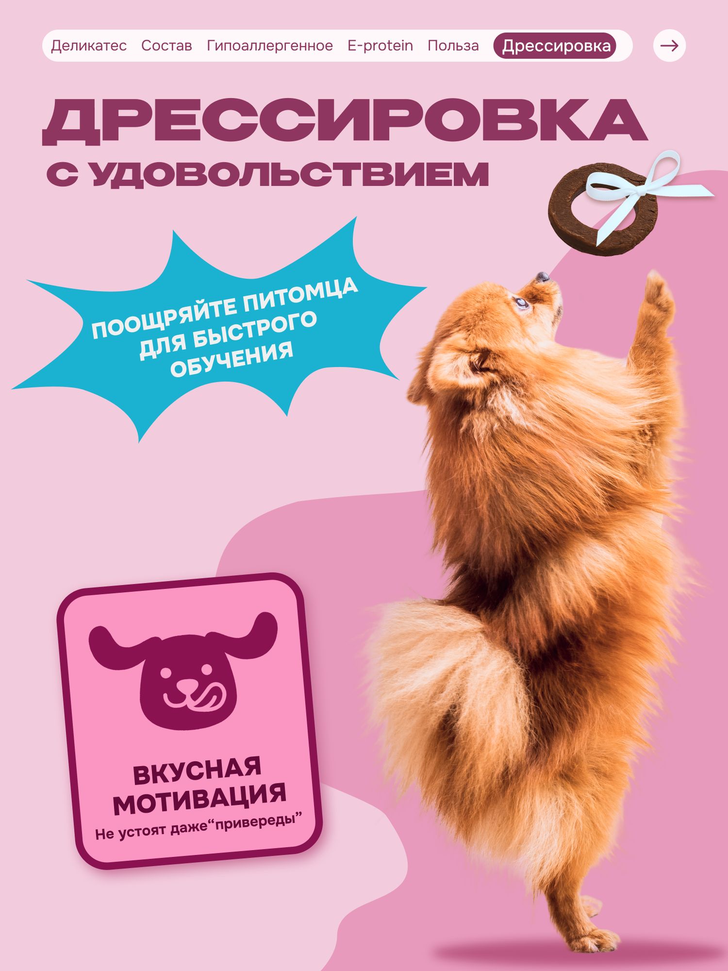 Лакомство для собак «Cosmodog» Пончик из утки 250г