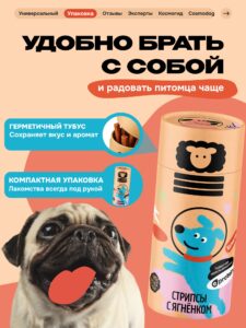 Четвероногие космонавты: как животные прокладывали путь к звёздам и что они там ели