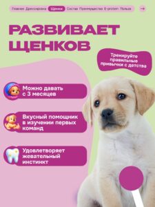 Лакомство для собак «Cosmodog» Джерки из утки 100г