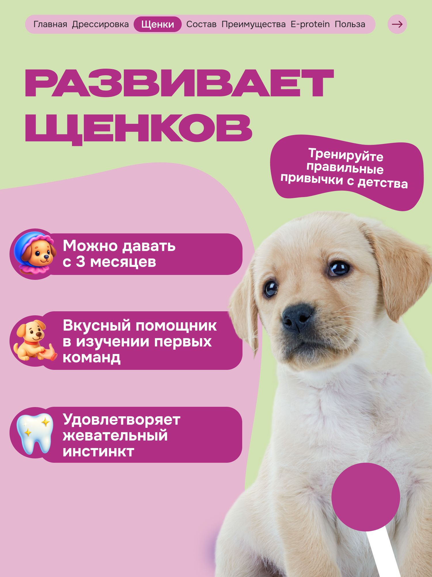Лакомство для собак «Cosmodog» Джерки из утки 100г