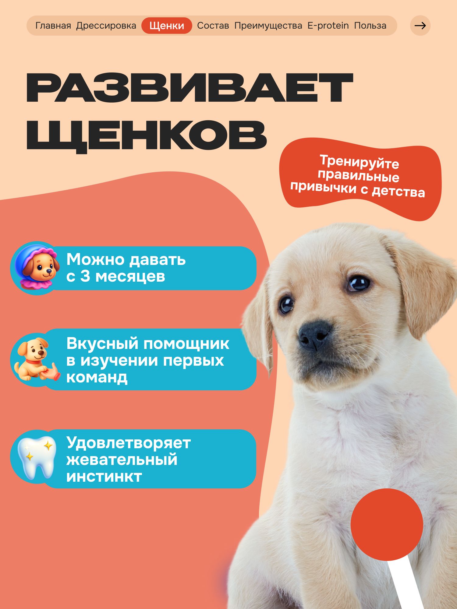 Лакомство для собак «Cosmodog» Джерки из утки 250г