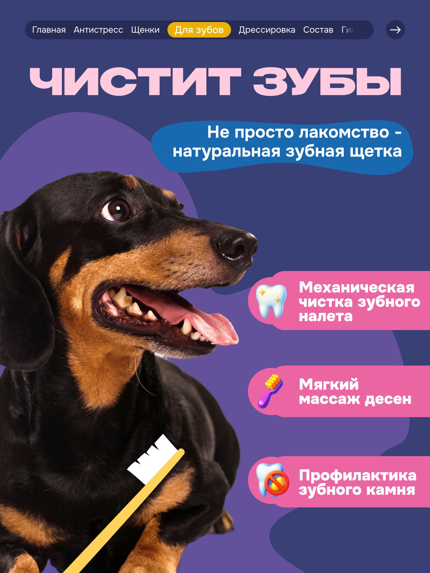 Лакомство для собак «Cosmodog» Джерки из говядины 250г