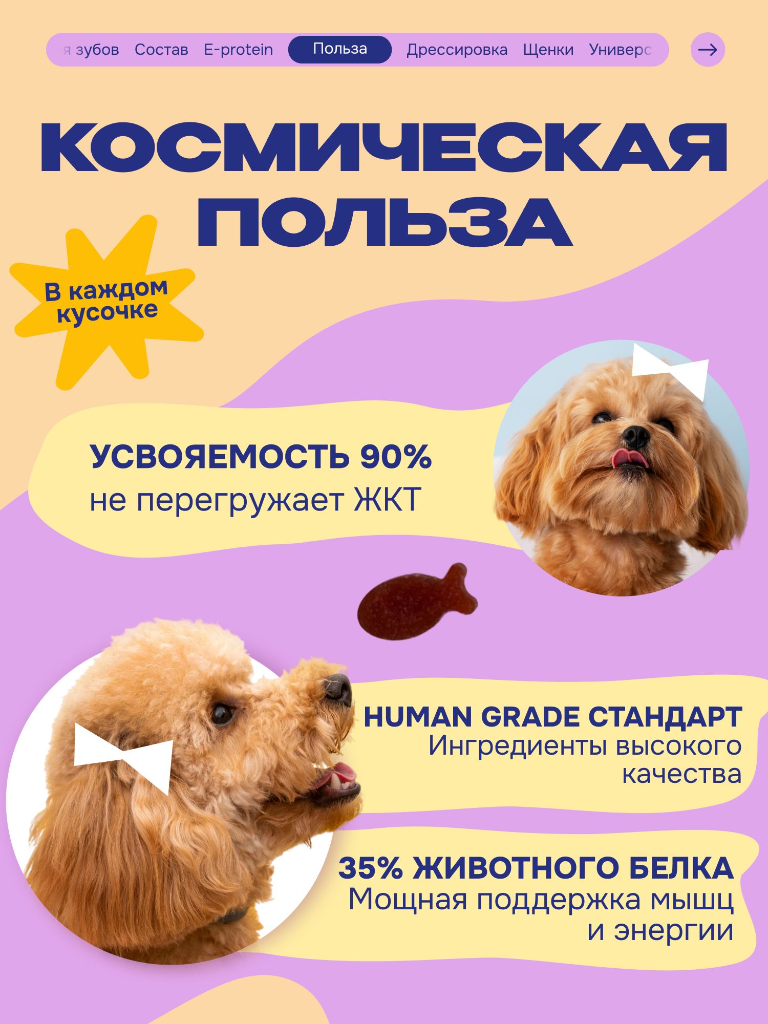 Лакомство для собак «Cosmodog» Пастила из тунца 100г