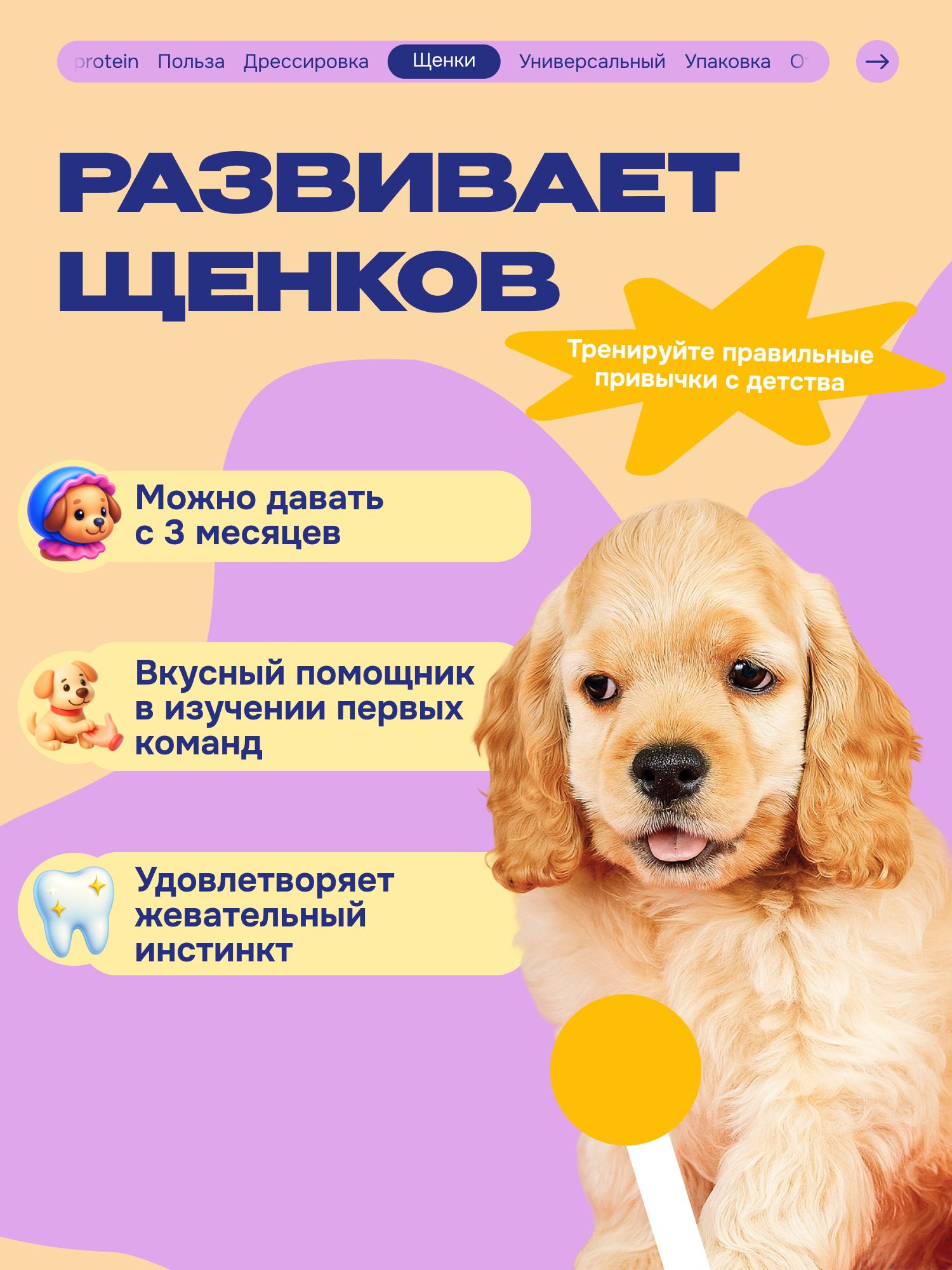 Лакомство для собак «Cosmodog» Пастила из тунца 100г