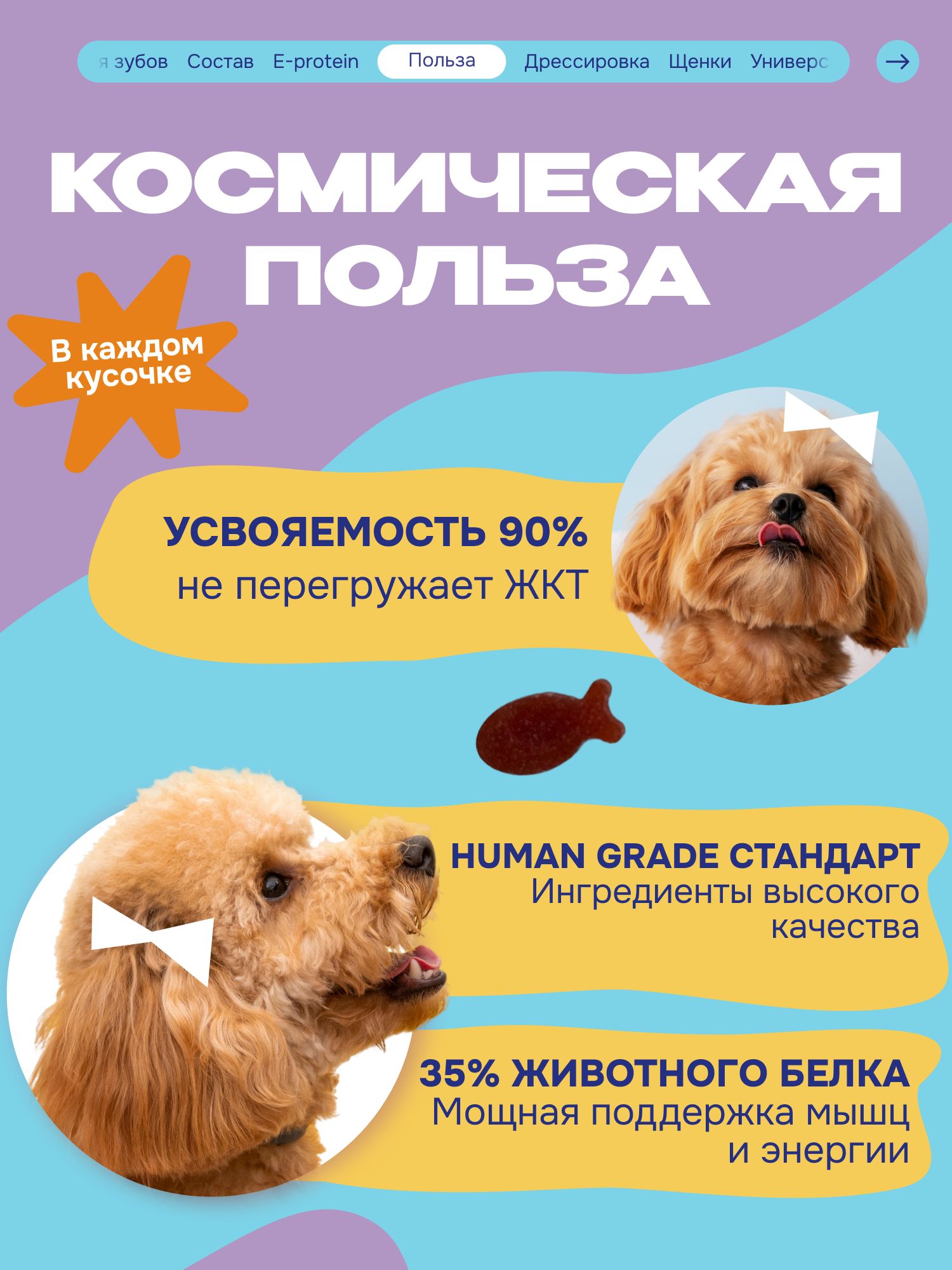 Лакомство для собак «Cosmodog» Пастила из тунца 250г