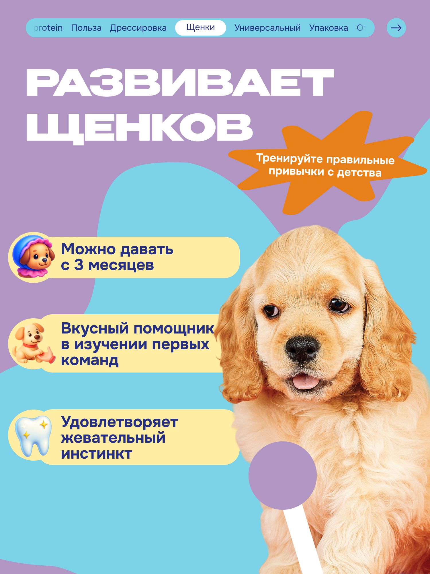 Лакомство для собак «Cosmodog» Пастила из тунца 250г