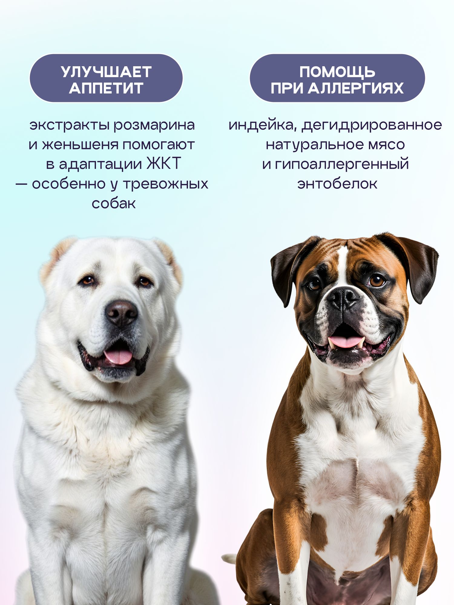 Корм сухой для собак «Космобака» для крупных и средних пород с индейкой с пробиотиком 2 кг