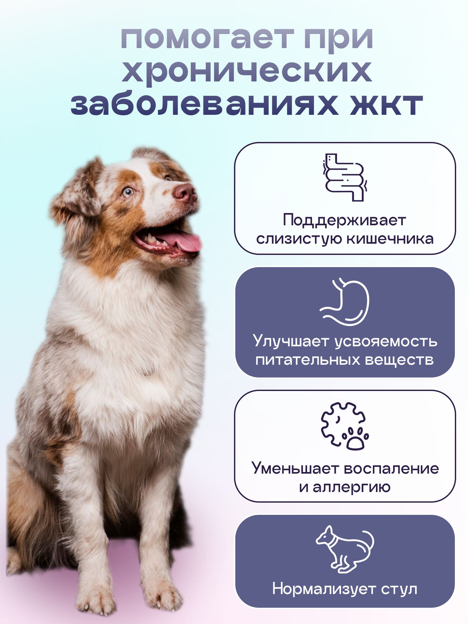 Корм сухой для собак «Космобака» для крупных и средних пород с индейкой с пробиотиком 8 кг