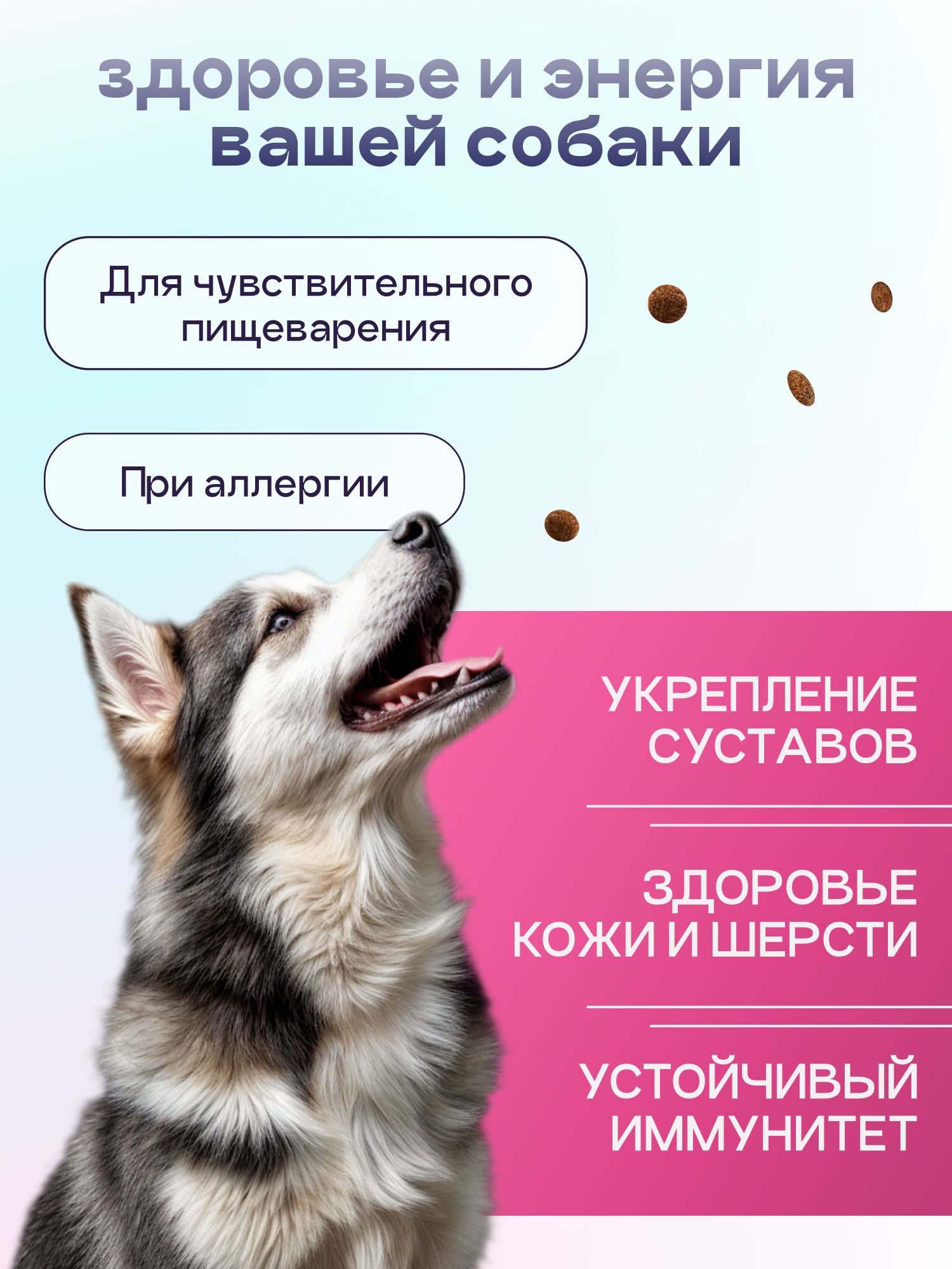 Корм сухой для собак «Космобака» для крупных и средних пород с индейкой с пробиотиком 8 кг