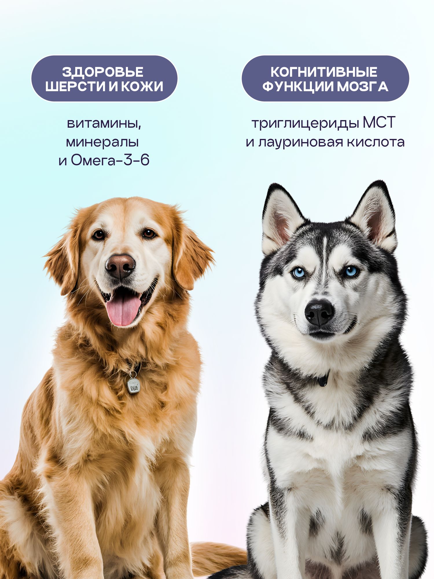 Корм сухой для собак «Космобака» для крупных и средних пород с индейкой с пробиотиком 15 кг