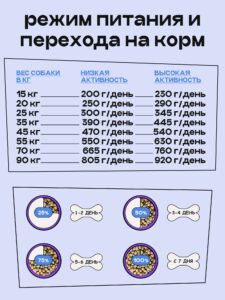КАК СОВЕРШЕНСТВОВАЛАСЬ ФОРМУЛА КОРМА COSMODOG