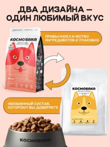 Питомцы и правила игры: где собакам вольготно, а кошкам — священно