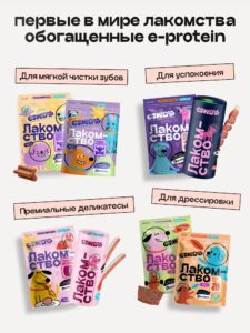 Питомцы и правила игры: где собакам вольготно, а кошкам — священно