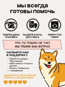 Питомцы и правила игры: где собакам вольготно, а кошкам — священно