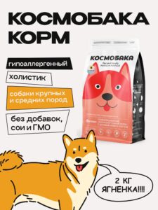 Натуральное и правильное питание для собак и кошек: полное руководство