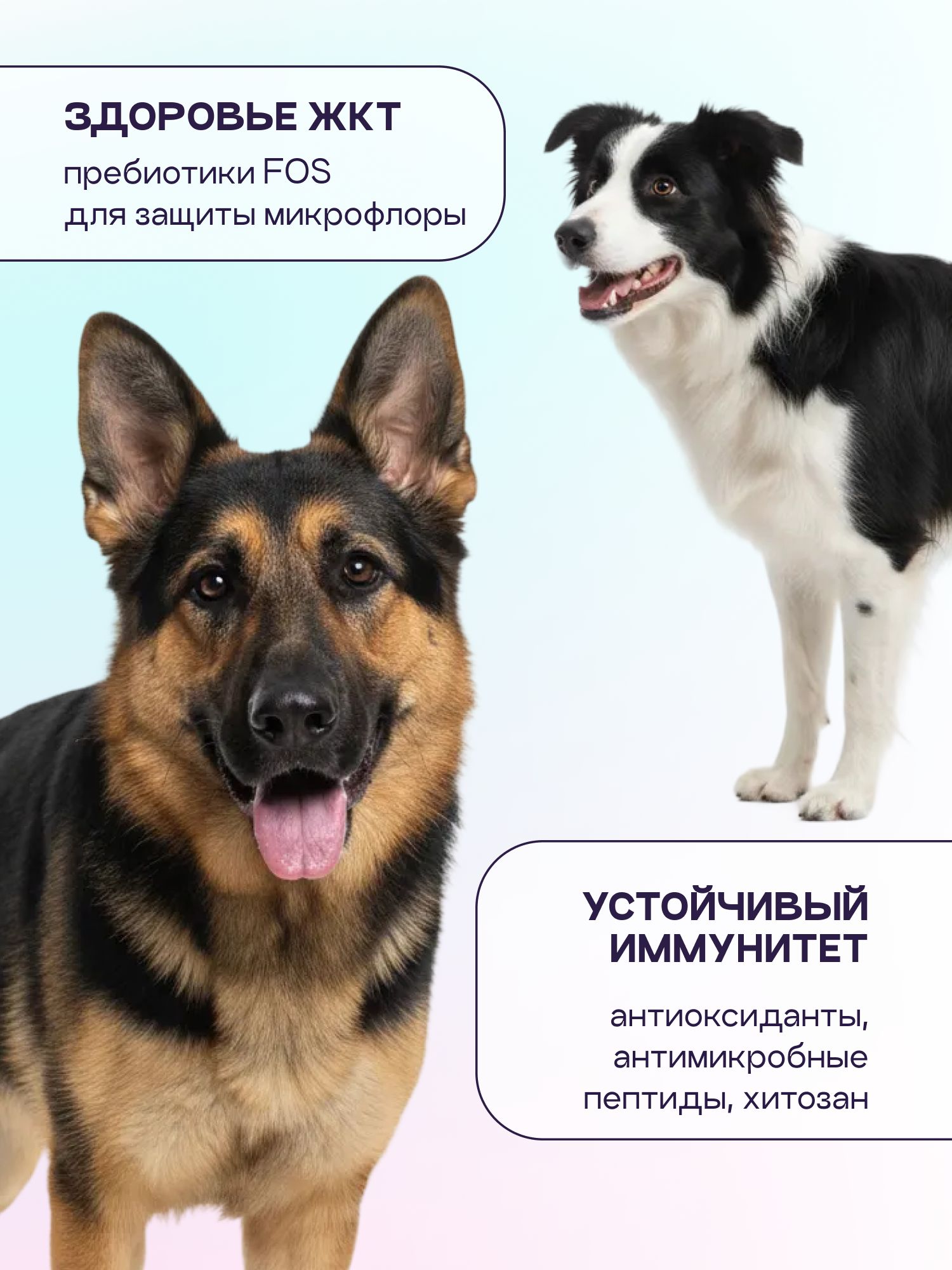 Корм сухой для собак «Космобака» для крупных и средних пород с ягненком с пробиотиком 8 кг