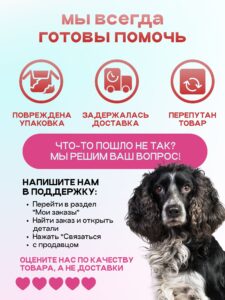Премиум-корм: от А до Я