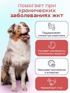 Корм сухой для собак «Космобака» для крупных и средних пород с ягненком с пробиотиком 15 кг