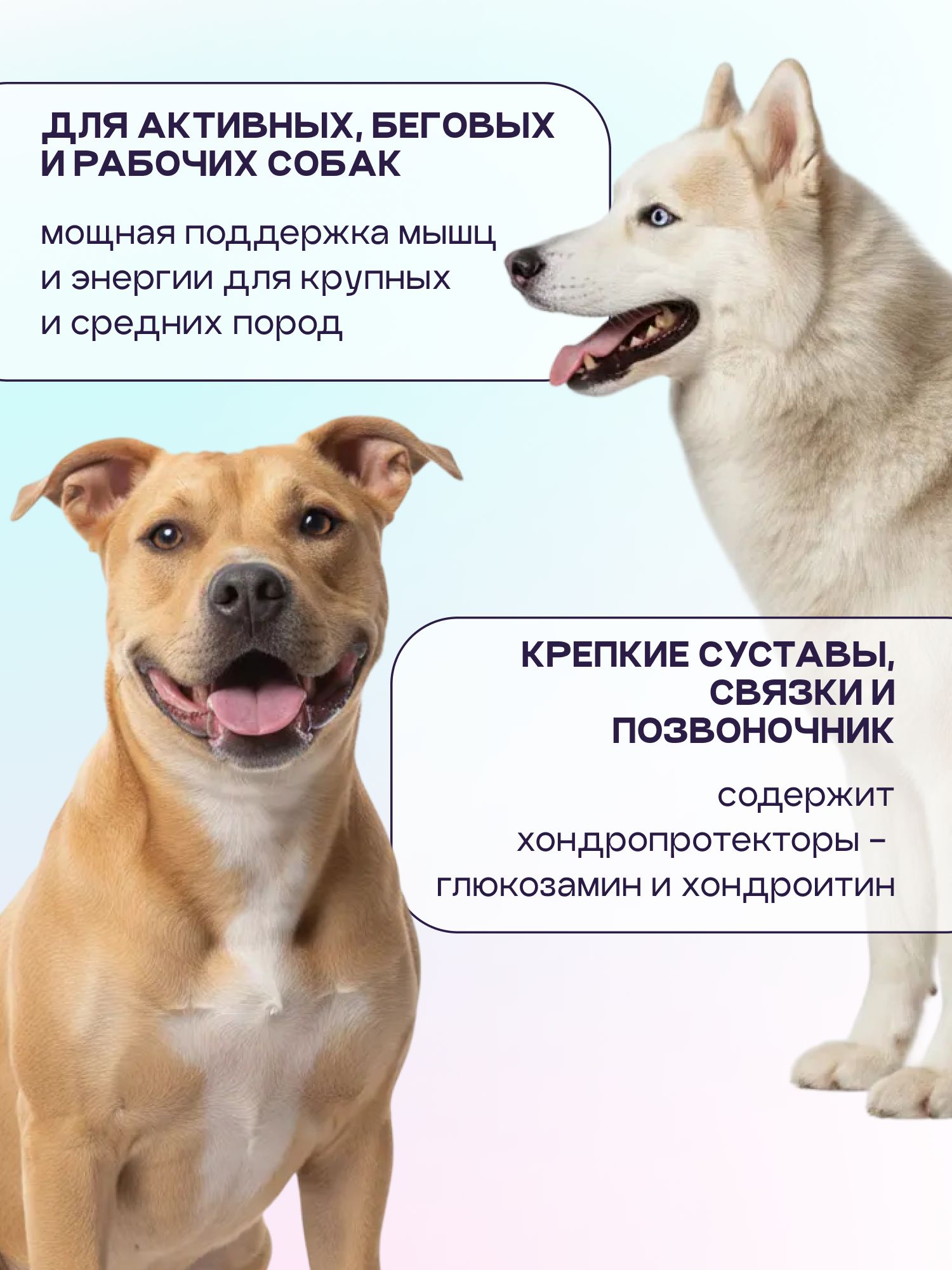 Корм сухой для собак «Космобака» для крупных и средних пород с ягненком с пробиотиком 15 кг