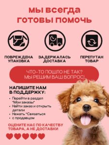 Корм и климат: невидимая сторона заботы о питомцах