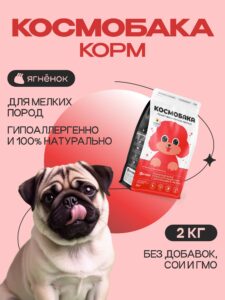 Аллергия на корм у кошек: как распознать и что делать?