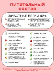 Аллергия на корм у кошек: как распознать и что делать?
