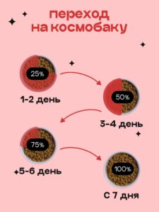 Как кормить мейн-куна: натуральное питание и премиум-корма