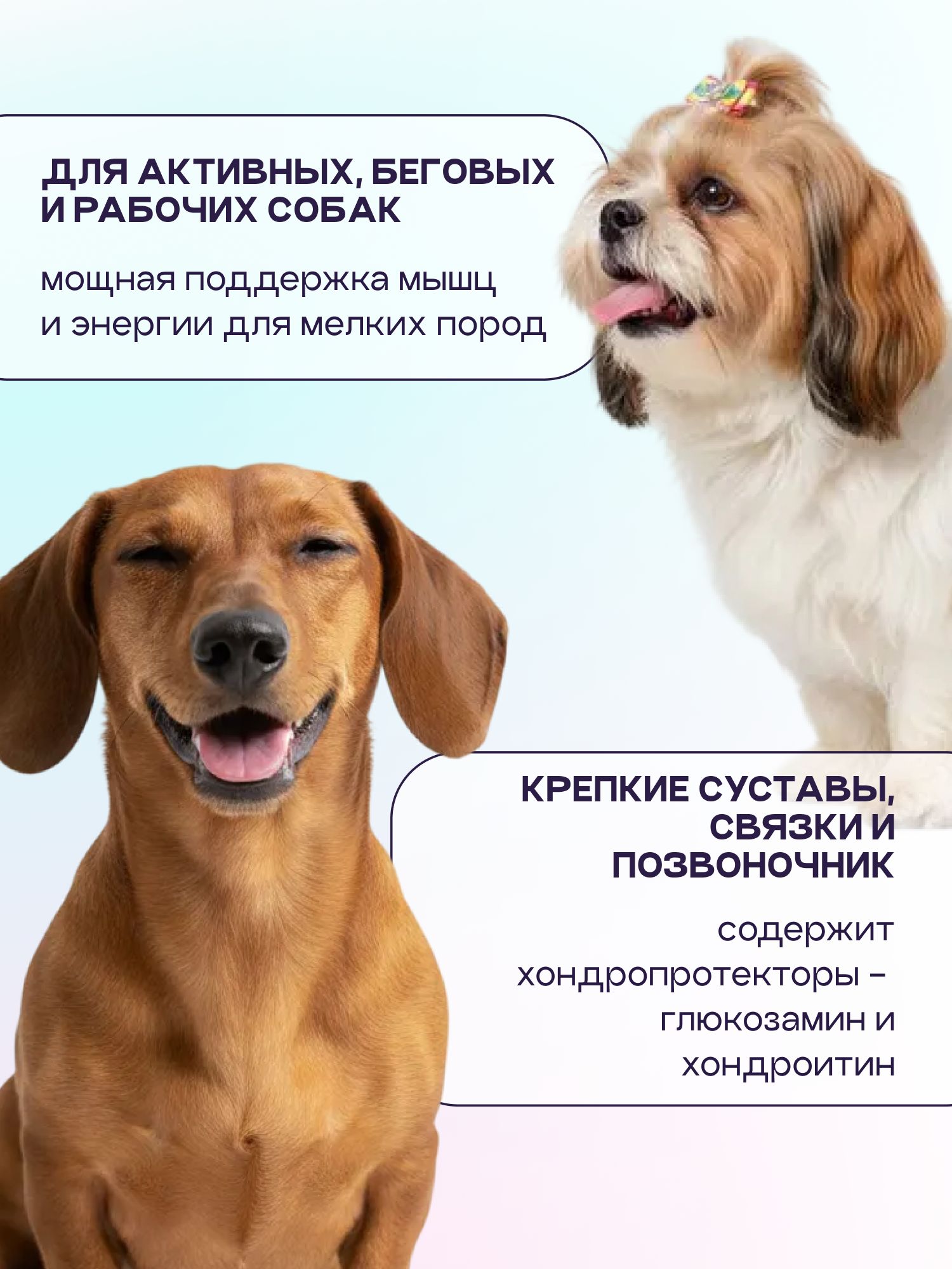 Корм сухой для собак «Космобака» для мелких пород с ягненком с пробиотиком 5 кг