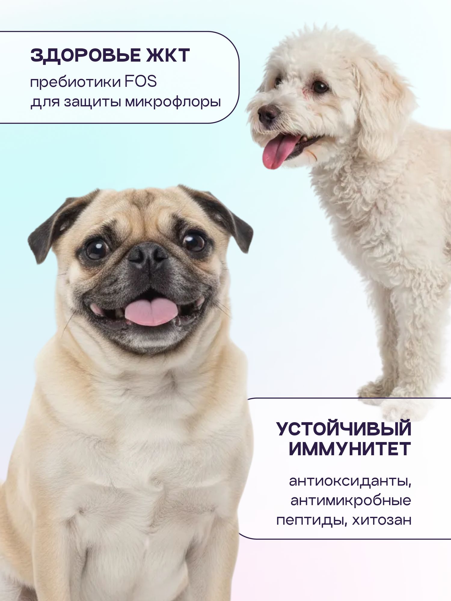 Корм сухой для собак «Космобака» для мелких пород с ягненком с пробиотиком 5 кг